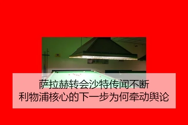 sa-la-he-zhuan-hui-sha-te-chuan-wen-bu-duan-li-wu-pu-he-xin-de-xia-yi-bu-wei-he-qian-dong-yu-lun-2-804.jpg
